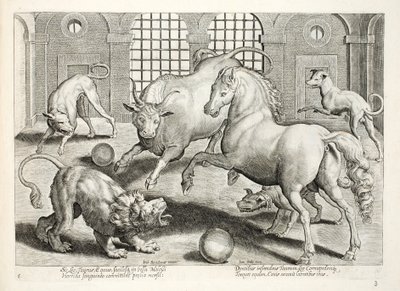 Fierce, bloody fighting between a lion, bull and horse, surrounded by angry barking dogs, illustration from 